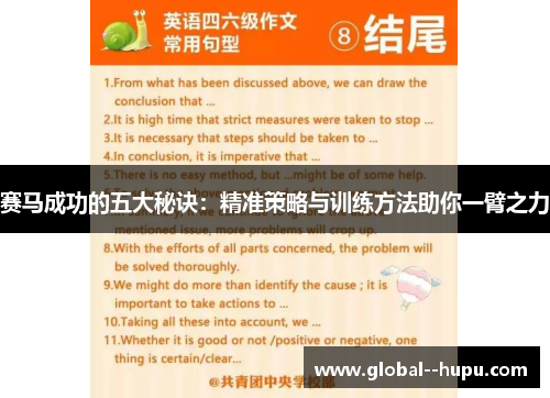 赛马成功的五大秘诀：精准策略与训练方法助你一臂之力