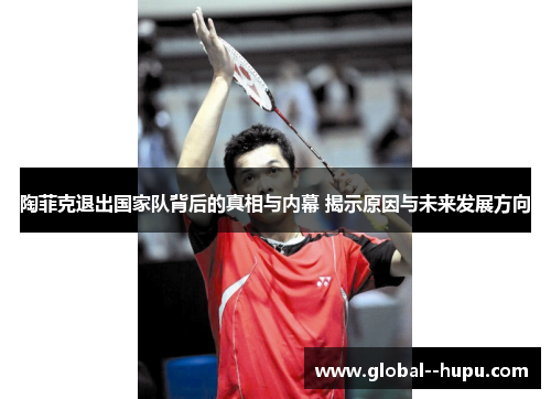 陶菲克退出国家队背后的真相与内幕 揭示原因与未来发展方向